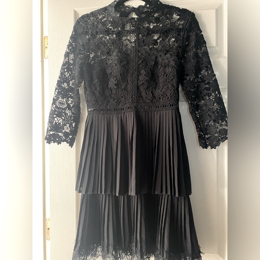 Zara XS Pleated Lace Dress